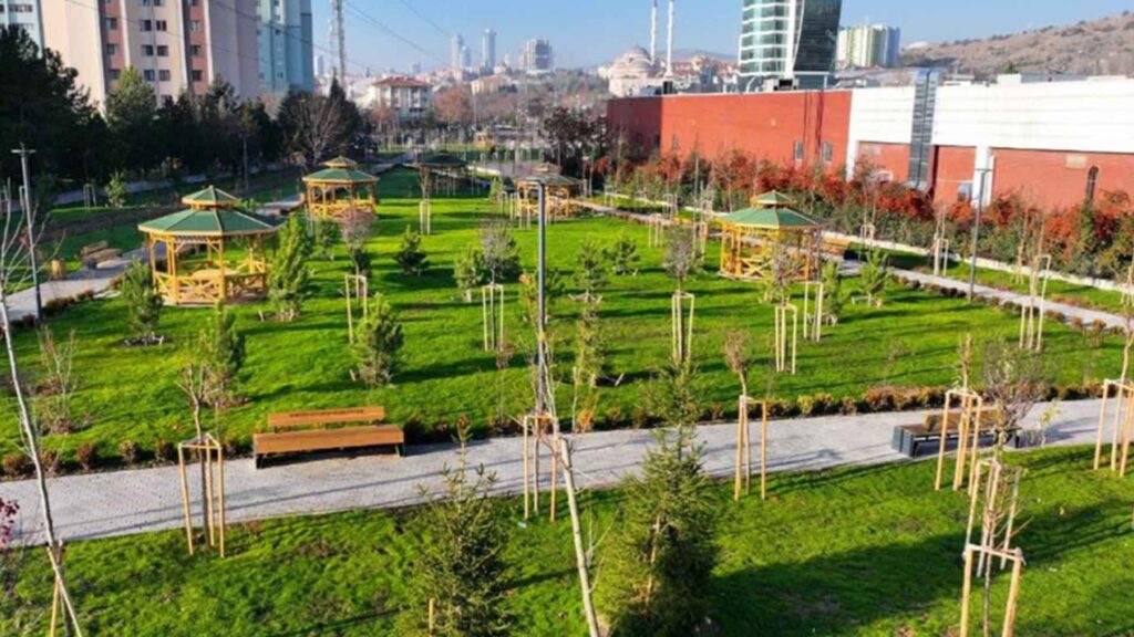 Prof. Doktor Ahmet Taner Kışlalı Mah. Park Alanı