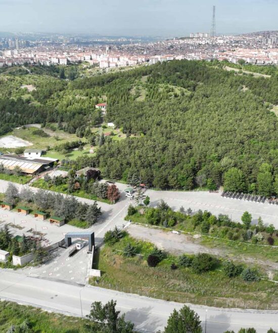 HACIKADIN HATIRA ORMANI