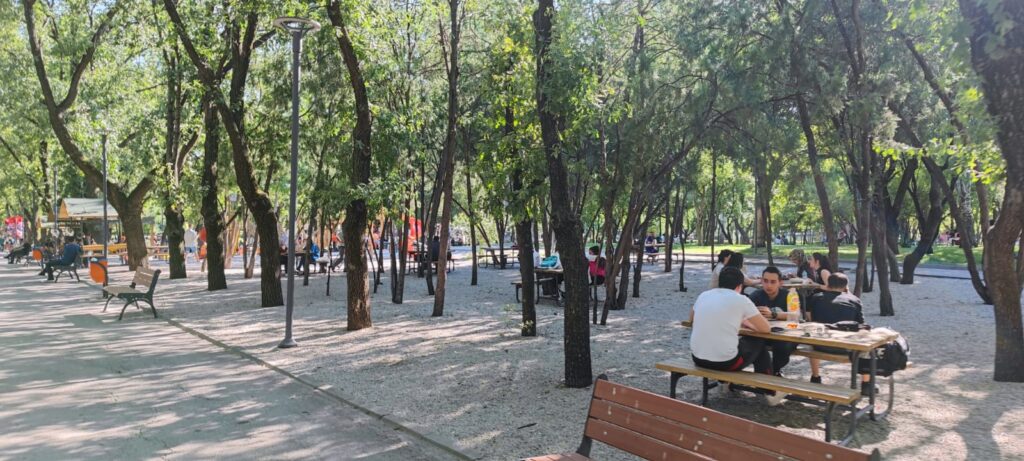 KURTULUŞ PARKI BAKIM ONARIM TADİLAT