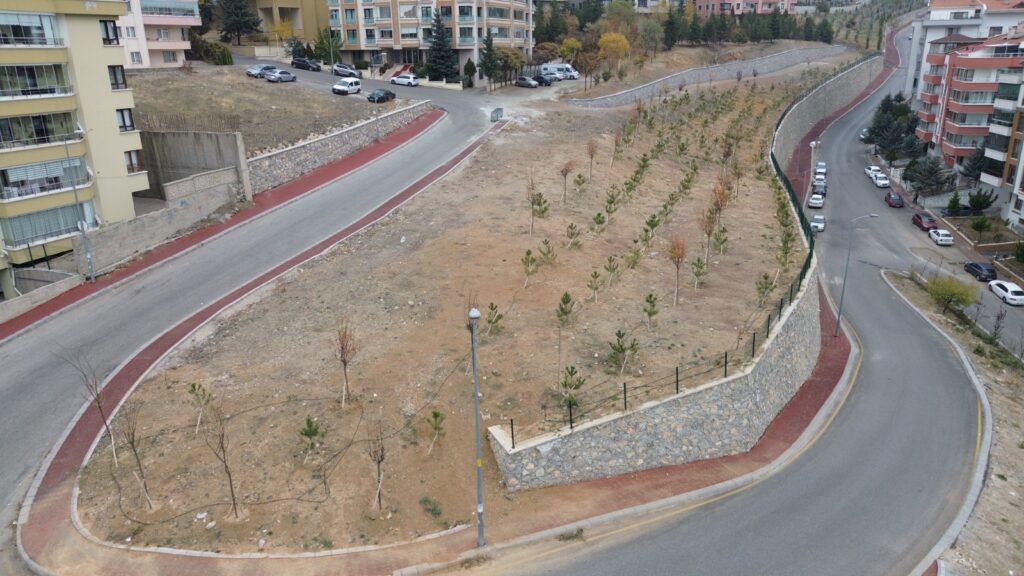 ÇANKAYA GÖKKUŞAĞI MAH. YÜRÜYÜŞ ALANI YAPIMI