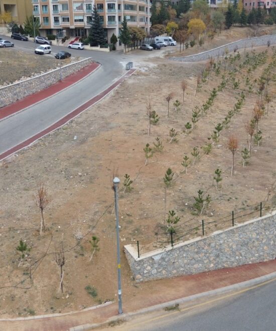 ÇANKAYA GÖKKUŞAĞI MAH. YÜRÜYÜŞ ALANI YAPIMI